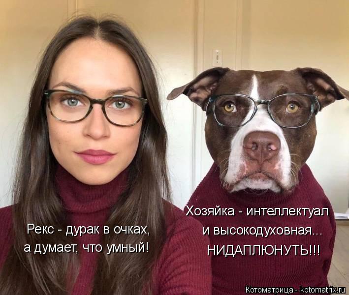 Котоматрица: Хозяйка - интеллектуал  и высокодуховная... НИДАПЛЮНУТЬ!!! Рекс - дурак в очках, а думает, что умный!