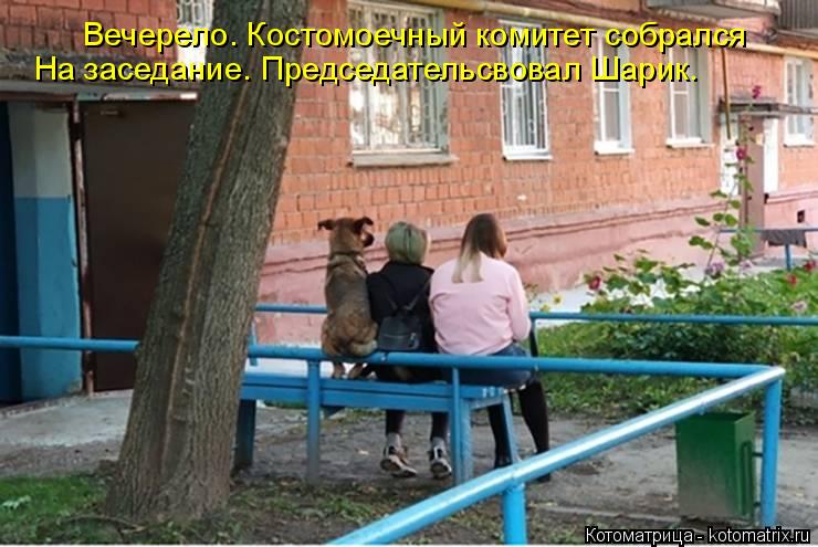 Вечерело. Костомоечный комитет собрался На заседание. Председательсвовал Шарик.... Котоматрица: Вечерело. Костомоечный комитет собрался На заседание. Председательсвовал Шарик.