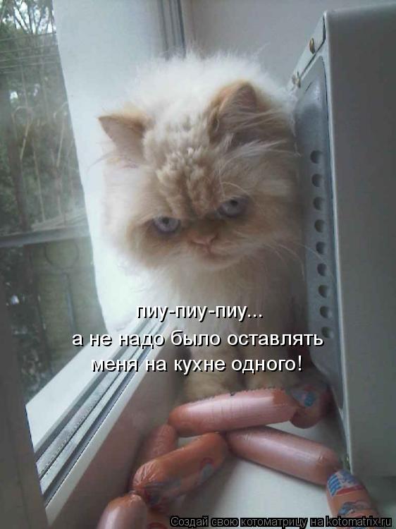 пиу-пиу-пиу... а не надо было оставлять меня на кухне одного!... Котоматрица: пиу-пиу-пиу... а не надо было оставлять меня на кухне одного!