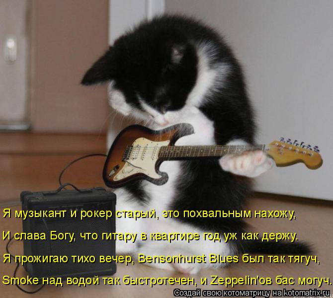 Я музыкант и рокер старый, это похвальным нахожу, И слава Богу, что гитару в квартире год уж как держ... Котоматрица: Я музыкант и рокер старый, это похвальным нахожу, И слава Богу, что гитару в квартире год уж как держу. Я прожигаю тихо вечер, Bensonhurst Blues был та