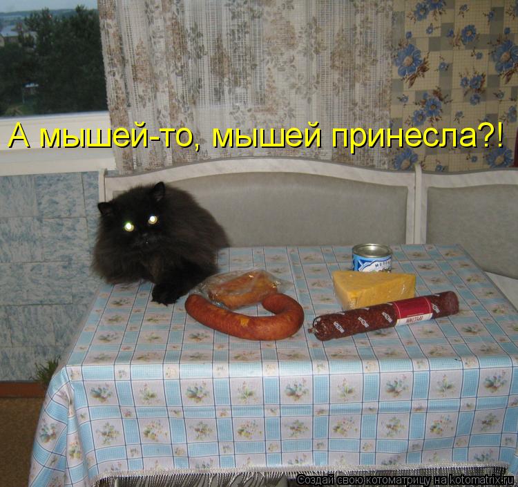Котоматрица: А мышей-то, мышей принесла?!