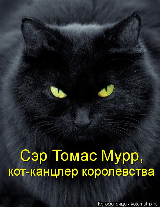 Сэр Томас Мурр, кот-канцлер королевства... Котоматрица: Сэр Томас Мурр, кот-канцлер королевства
