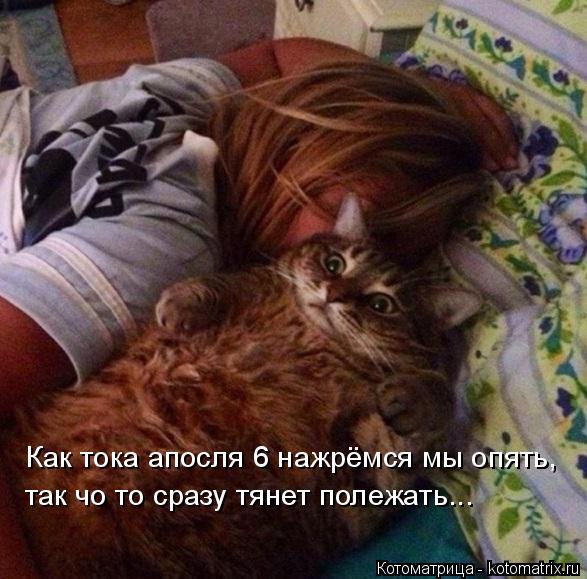 Котоматрица: Как тока апосля 6 нажрёмся мы опять,  так чо то сразу тянет полежать...