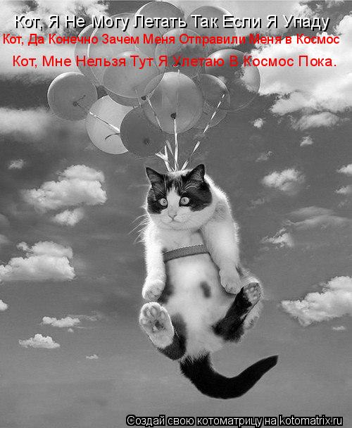 Котоматрица: Кот, Я Не Могу Летать Так Если Я Упаду Кот, Да Конечно Зачем Меня Отправили Меня в Космос Кот, Мне Нельзя Тут Я Улетаю В Космос Пока.