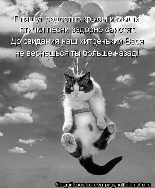 Пляшут радостно крысы и мыши, птички песни задорно свистят. До свидания наш хитренький Вася, не верне... Котоматрица: Пляшут радостно крысы и мыши, птички песни задорно свистят. До свидания наш хитренький Вася, не вернешься ты больше назад!