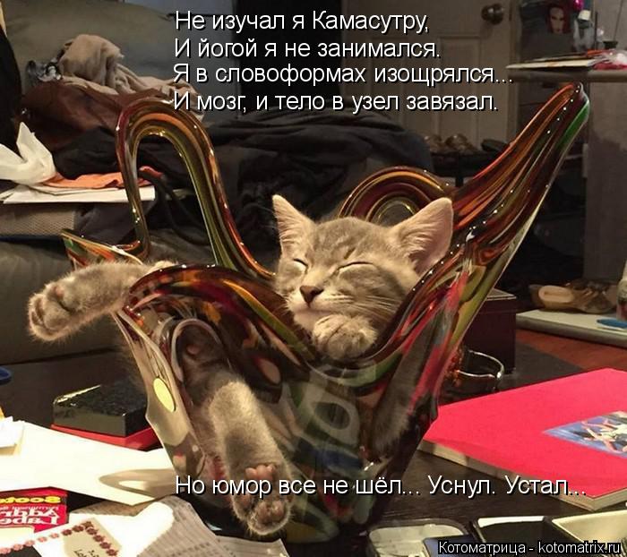 Котоматрица: Не изучал я Камасутру, И йогой я не занимался. Я в словоформах изощрялся... И мозг, и тело в узел завязал. Но юмор все не шёл... Уснул. Устал...