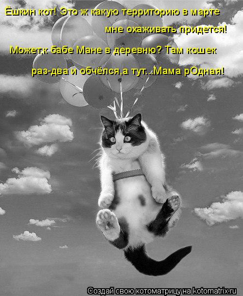 Ёшкин кот! Это ж какую территорию в марте мне охаживать придется! Может,к бабе Мане в деревню? Там к... Котоматрица: Ёшкин кот! Это ж какую территорию в марте мне охаживать придется! Может,к бабе Мане в деревню? Там кошек раз-два и обчёлся,а тут...Мама рОдная
