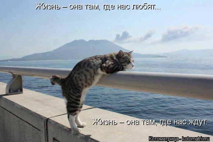 Жизнь – она там, где нас любят... Жизнь – она там, где нас ждут. Жизнь – она там, где нас любят... ... Котоматрица: Жизнь – она там, где нас любят... Жизнь – она там, где нас ждут. Жизнь – она там, где нас любят... Жизнь – она там, где нас ждут. Жизнь – она там,