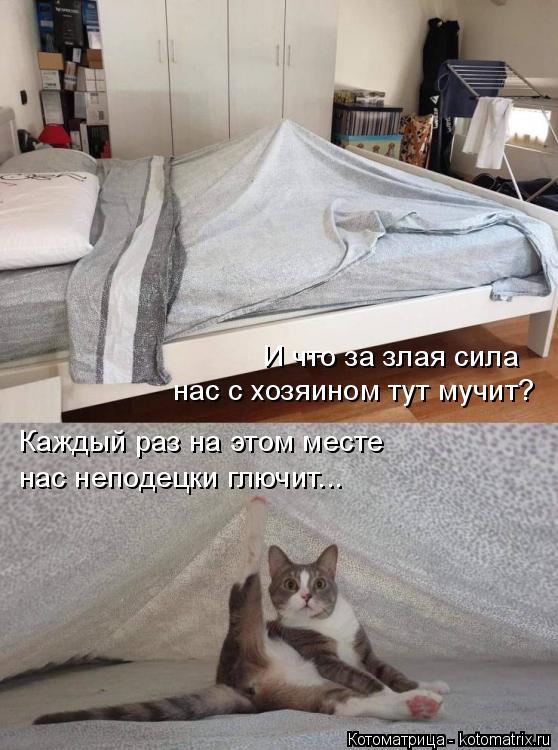 И что за злая сила нас с хозяином тут мучит? Каждый раз на этом месте нас неподецки глючит...... Котоматрица: И что за злая сила нас с хозяином тут мучит? Каждый раз на этом месте нас неподецки глючит...
