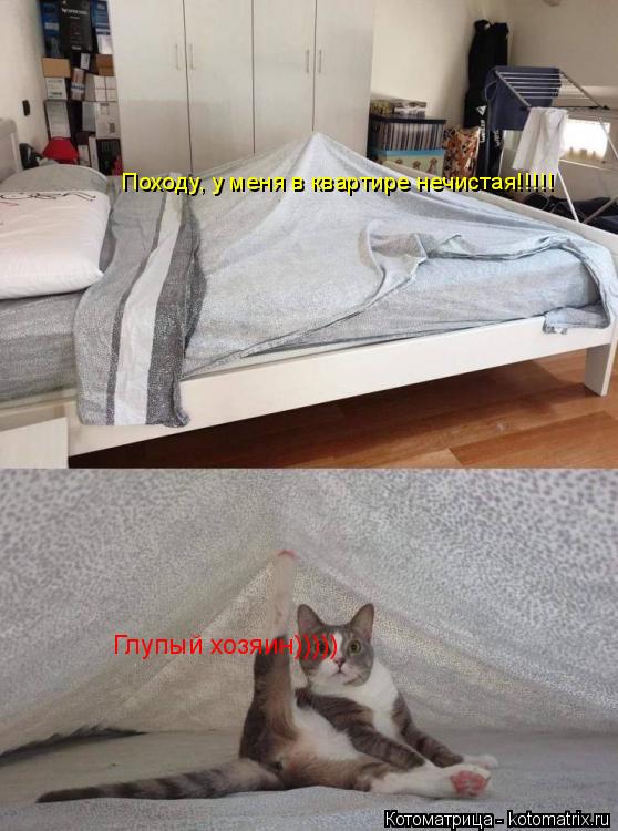 Походу, у меня в квартире нечистая!!!!! Глупый хозяин)))))... Котоматрица: Походу, у меня в квартире нечистая!!!!! Глупый хозяин)))))