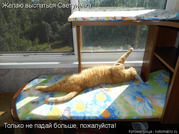 Желаю выспаться Светунечка... Только не падай больше, пожалуйста!... Котоматрица: Желаю выспаться Светунечка... Только не падай больше, пожалуйста!