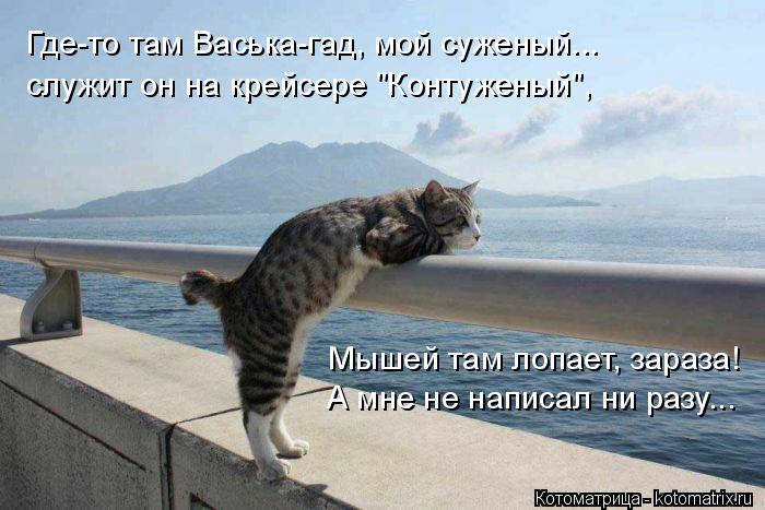 Котоматрица: Где-то там Васька-гад, мой суженый... служит он на крейсере "Контуженый", Мышей там лопает, зараза! А мне не написал ни разу...