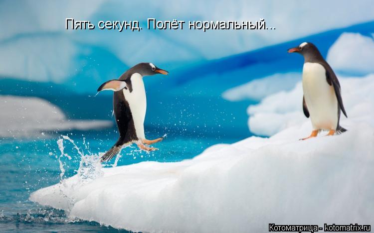 Пять секунд. Полёт нормальный...... Котоматрица: Пять секунд. Полёт нормальный...