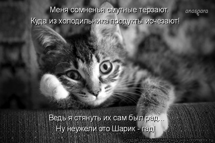 Меня сомненья смутные терзают. Куда из холодильника продукты исчезают! Ну неужели это Шарик - гад! Ве... Котоматрица: Меня сомненья смутные терзают. Куда из холодильника продукты исчезают! Ну неужели это Шарик - гад! Ведь я стянуть их сам был рад...