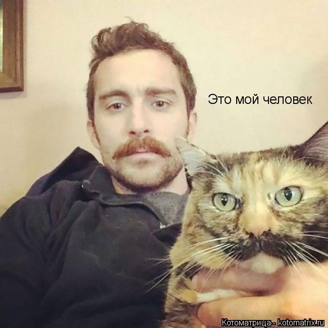 Это мой человек... Котоматрица: Это мой человек