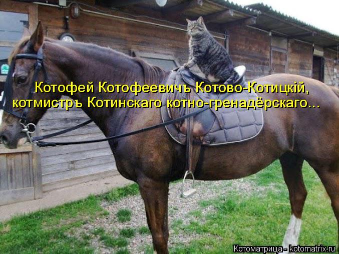 Котофей Котофеевичъ Котово-Котицкiй, котмистръ Котинскаго котно-гренадёрскаго...... Котоматрица: Котофей Котофеевичъ Котово-Котицкiй, котмистръ Котинскаго котно-гренадёрскаго...