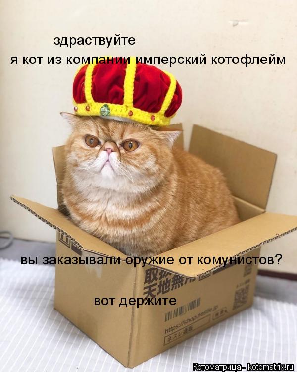 Котоматрица: здраствуйте я кот из компании имперский котофлейм вы заказывали оружие от комунистов? вот держите