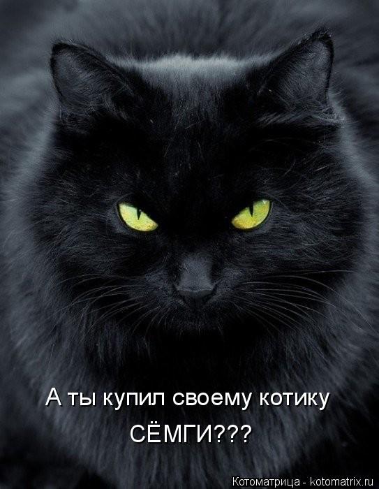 А ты купил своему котику СЁМГИ???... Котоматрица: А ты купил своему котику СЁМГИ???