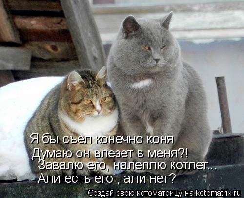 Котоматрица: Я бы съел конечно коня Думаю он влезет в меня?! Завалю его, налеплю котлет... Али есть его , али нет?