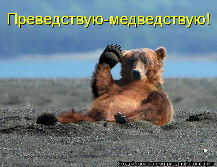 Преведствую-медведствую!... Котоматрица: Преведствую-медведствую!
