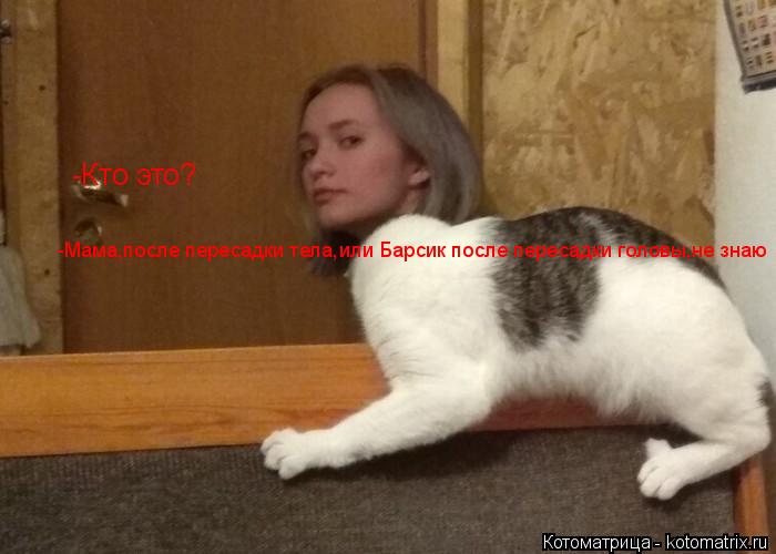 -Кто это? -Мама,после пересадки тела,или Барсик после пересадки головы,не знаю... Котоматрица: -Кто это? -Мама,после пересадки тела,или Барсик после пересадки головы,не знаю