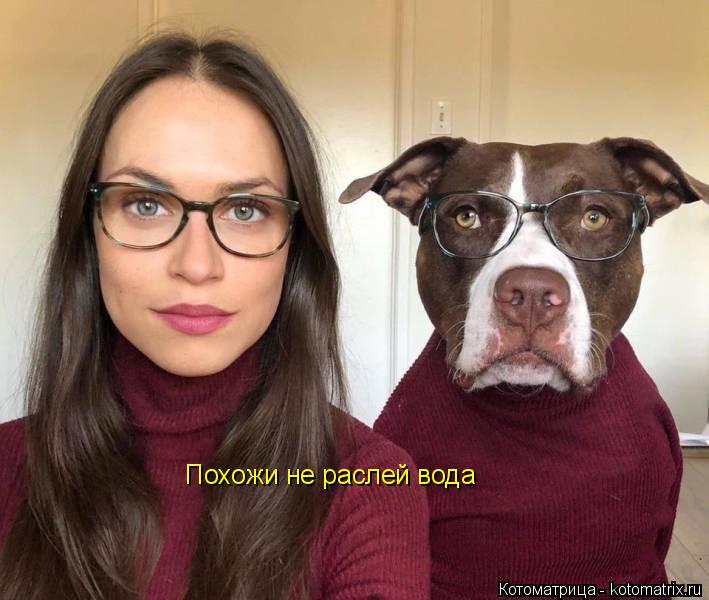 Похожи не раслей вода... Котоматрица: Похожи не раслей вода