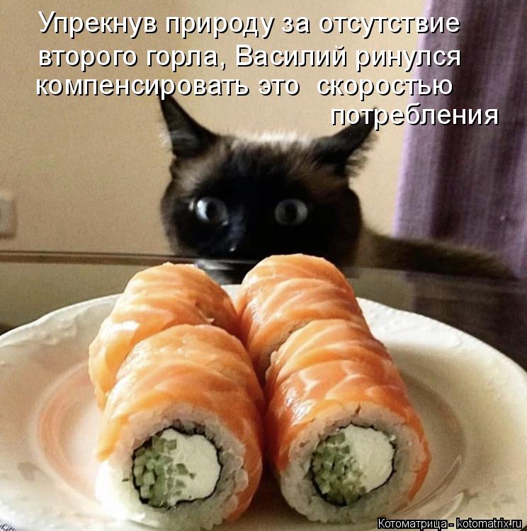 Котоматрица: Упрекнув природу за отсутствие второго горла, Василий ринулся компенсировать это  скоростью потребления