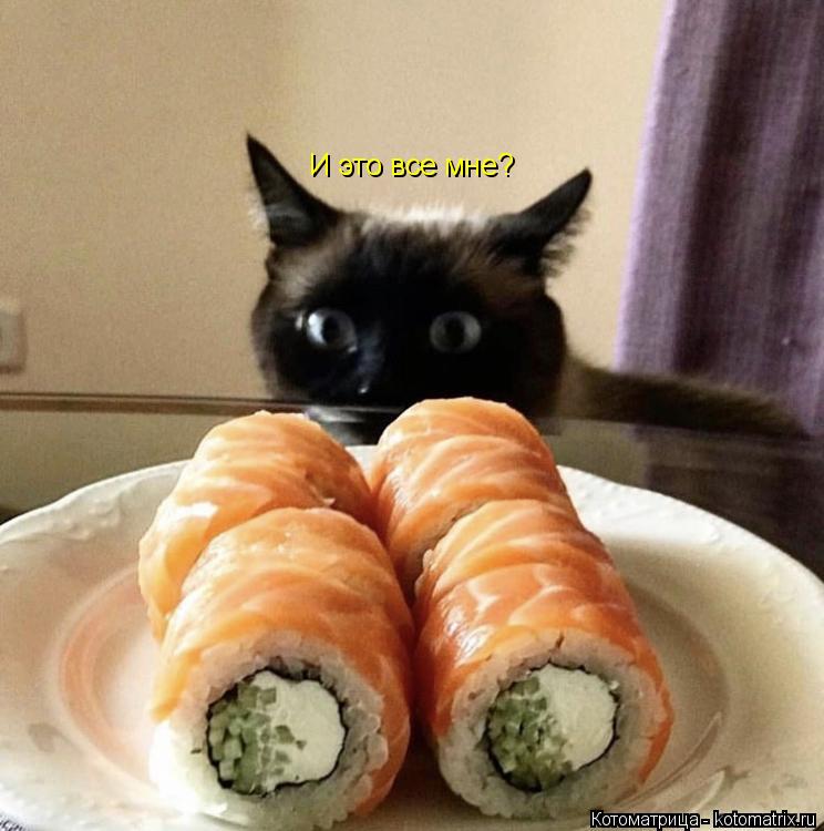 И это все мне?... Котоматрица: И это все мне?