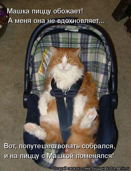 Машка пиццу обожает! А меня она не вдохновляет... Вот, попутешествовать собрался, и на пиццу с Машко... Котоматрица: Машка пиццу обожает! А меня она не вдохновляет... Вот, попутешествовать собрался, и на пиццу с Машкой поменялся!