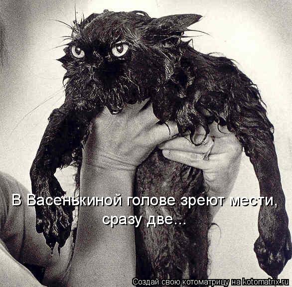 В Васенькиной голове зреют мести, сразу две...... Котоматрица: В Васенькиной голове зреют мести, сразу две...