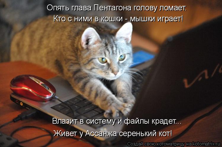 Опять глава Пентагона голову ломает. Кто с ними в кошки - мышки играет! Влазит в систему и файлы крад... Котоматрица: Опять глава Пентагона голову ломает. Кто с ними в кошки - мышки играет! Влазит в систему и файлы крадет... Живет у Ассанжа серенький кот!