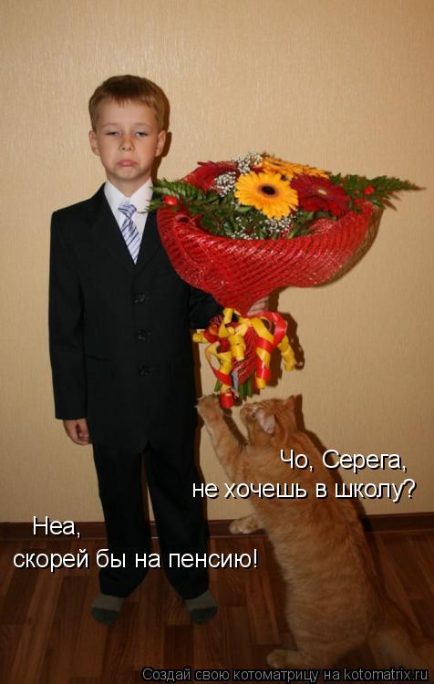 Котоматрица: Чо, Серега,  не хочешь в школу? Неа,  скорей бы на пенсию!