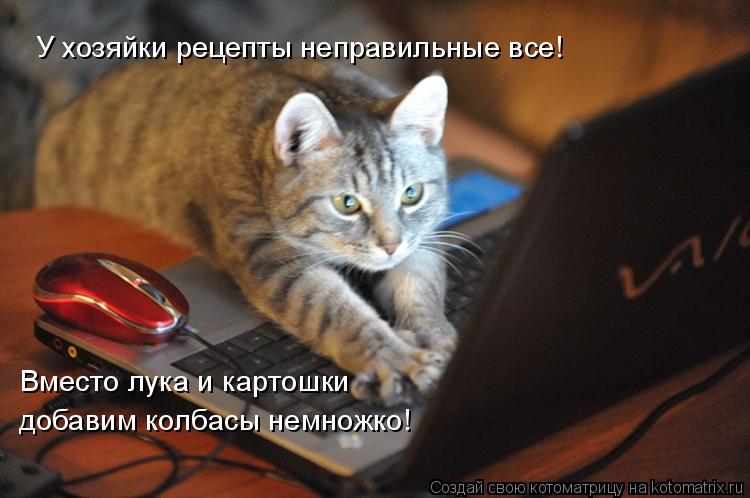 Котоматрица: У хозяйки рецепты неправильные все! Вместо лука и картошки  добавим колбасы немножко!