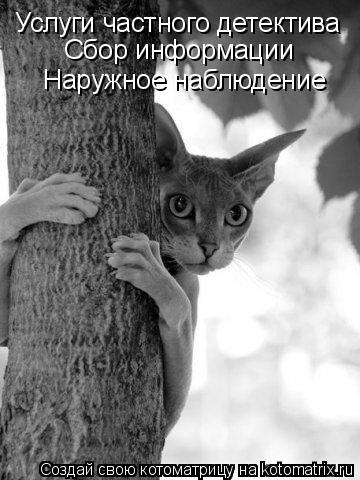 Услуги частного детектива Сбор информации Наружное наблюдение... Котоматрица: Услуги частного детектива Сбор информации Наружное наблюдение