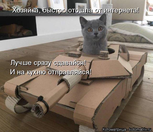 Хозяйка, быстро отошла от интернета! Лучше сразу сдавайся! И на кухню отправляйся!... Котоматрица: Хозяйка, быстро отошла от интернета! Лучше сразу сдавайся! И на кухню отправляйся!