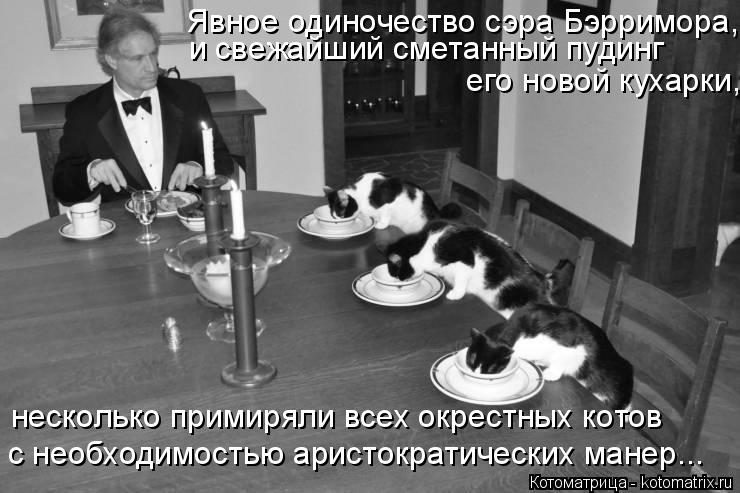 Котоматрица: Явное одиночество сэра Бэрримора,  и свежайший сметанный пудинг  его новой кухарки, с необходимостью аристократических манер... несколько п