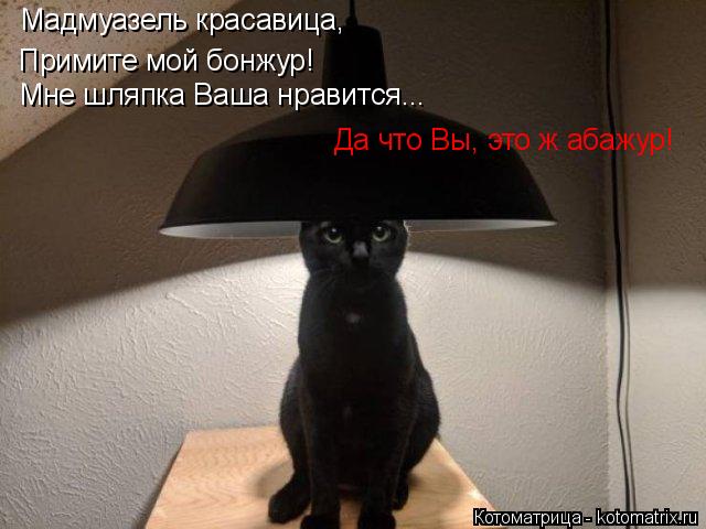 Мадмуазель красавица, Примите мой бонжур! Мне шляпка Ваша нравится... Да что Вы, это ж абажур!... Котоматрица: Мадмуазель красавица, Примите мой бонжур! Мне шляпка Ваша нравится... Да что Вы, это ж абажур!