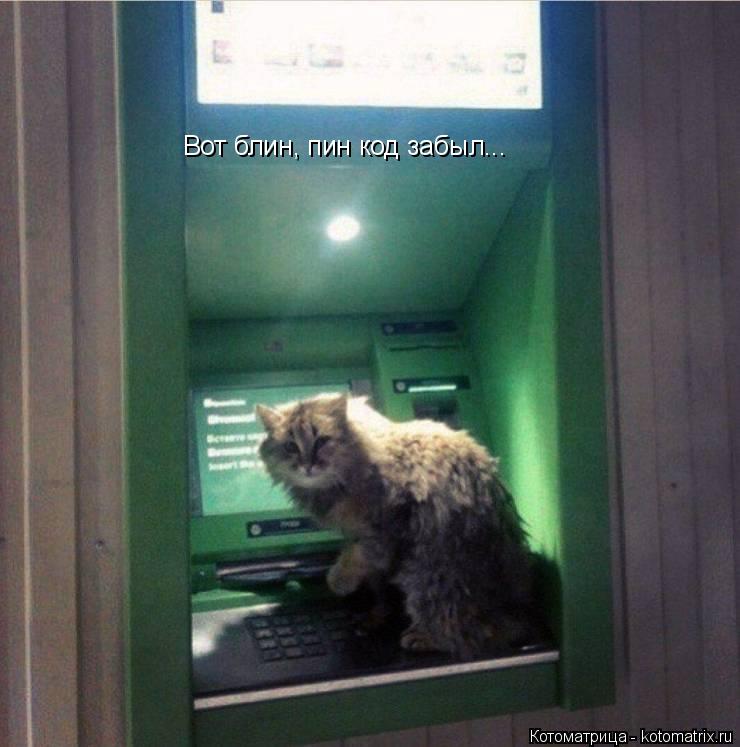 Вот блин, пин код забыл...... Котоматрица: Вот блин, пин код забыл...