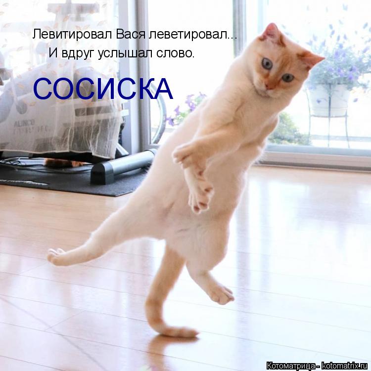 Левитировал Вася леветировал... И вдруг услышал слово. СОСИСКА... Котоматрица: Левитировал Вася леветировал... И вдруг услышал слово. СОСИСКА