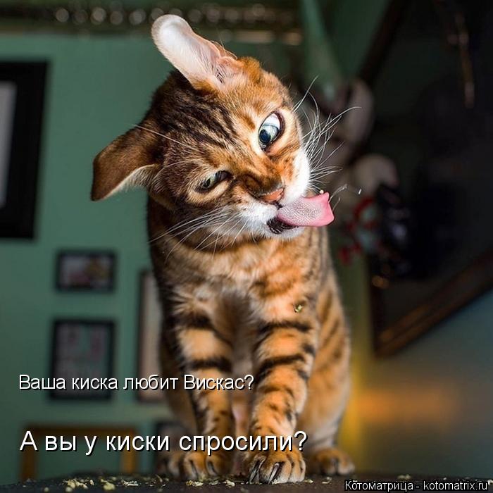 Котоматрица: Ваша киска любит Вискас? А вы у киски спросили?