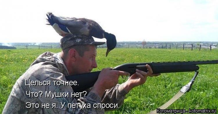 Целься точнее. Что? Мушки нет? Это не я. У петуха спроси.... Котоматрица: Целься точнее. Что? Мушки нет? Это не я. У петуха спроси.