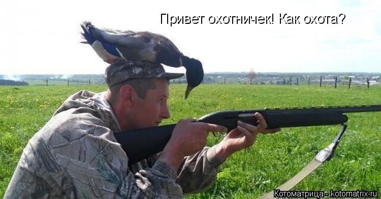 Котоматрица: Привет охотничек! Как охота?