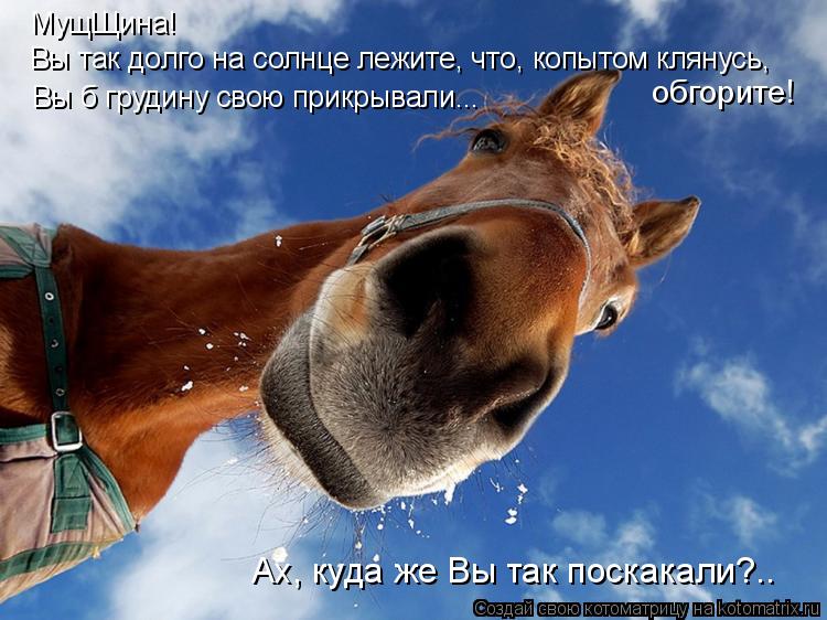 Котоматрица: Вы так долго на солнце лежите, что, копытом клянусь, обгорите! МущЩина! Вы б грудину свою прикрывали... Ах, куда же Вы так поскакали?..