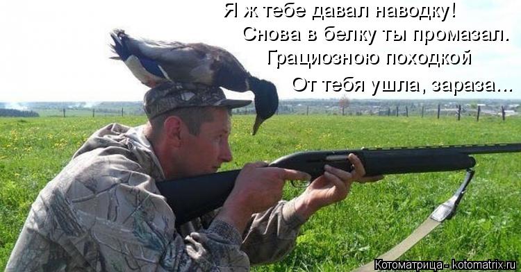 Я ж тебе давал наводку! Снова в белку ты промазал. Грациозною походкой От тебя ушла, зараза...... Котоматрица: Я ж тебе давал наводку! Снова в белку ты промазал. Грациозною походкой От тебя ушла, зараза...