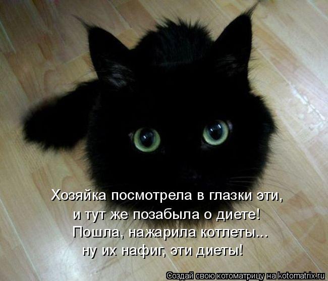 Хозяйка посмотрела в глазки эти, и тут же позабыла о диете! Пошла, нажарила котлеты... ну их нафиг, э... Котоматрица: Хозяйка посмотрела в глазки эти, и тут же позабыла о диете! Пошла, нажарила котлеты... ну их нафиг, эти диеты!