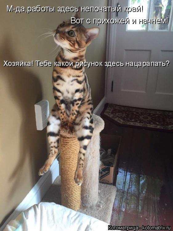 М-да,работы здесь непочатый край! Вот с прихожей и начнем! Хозяйка! Тебе какой рисунок здесь нацарапа... Котоматрица: М-да,работы здесь непочатый край! Вот с прихожей и начнем! Хозяйка! Тебе какой рисунок здесь нацарапать?