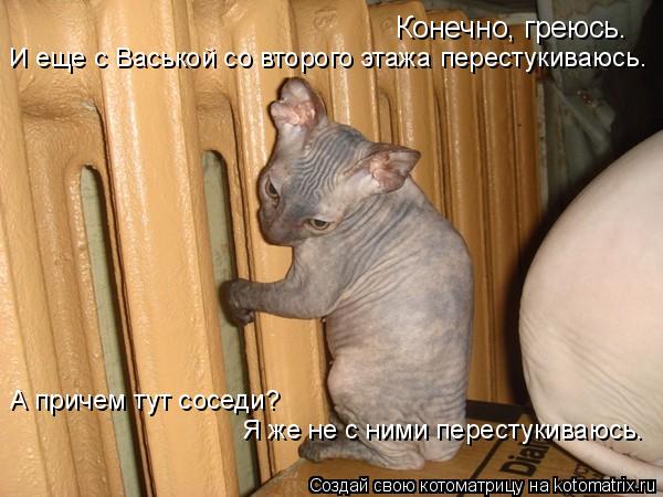 Конечно, греюсь. И еще с Васькой со второго этажа перестукиваюсь. А причем тут соседи? Я же не с ними... Котоматрица: Конечно, греюсь. И еще с Васькой со второго этажа перестукиваюсь. А причем тут соседи? Я же не с ними перестукиваюсь.