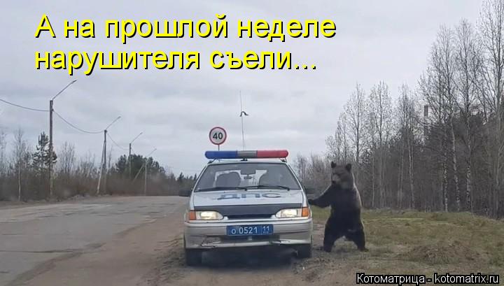А на прошлой неделе нарушителя съели...... Котоматрица: А на прошлой неделе нарушителя съели...
