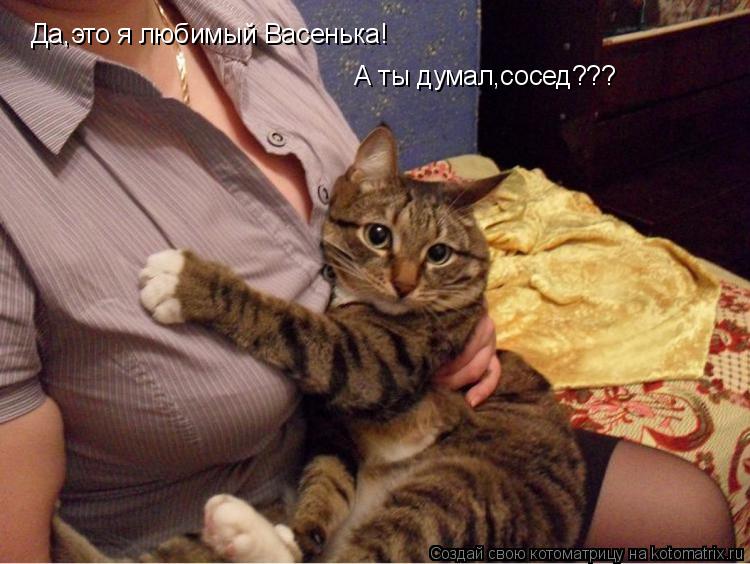 Да,это я любимый Васенька! А ты думал,сосед???... Котоматрица: Да,это я любимый Васенька! А ты думал,сосед???