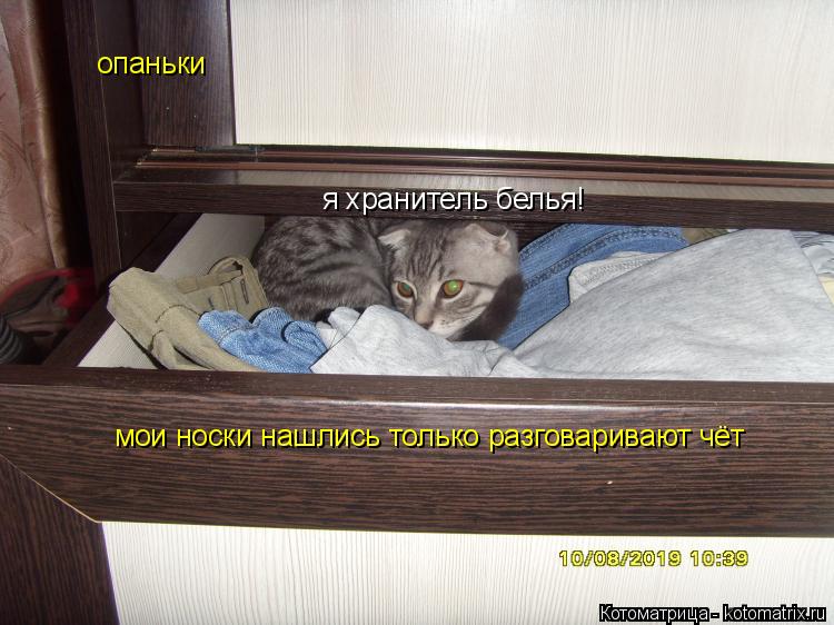 я хранитель белья! опаньки мои носки нашлись только разговаривают чёт... Котоматрица: я хранитель белья! опаньки мои носки нашлись только разговаривают чёт